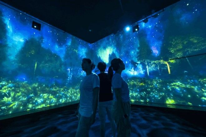 蘭卡威夢幻森林體驗 Dream Forest 