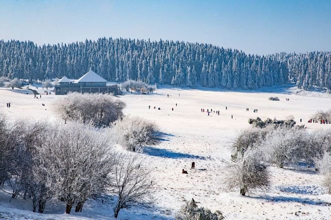 仙女山國家森林公園