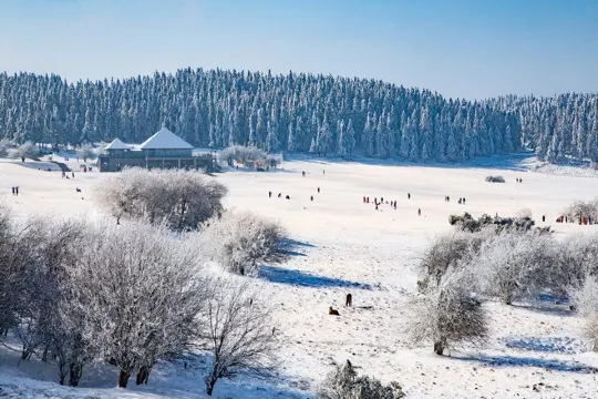 仙女山國家森林公園