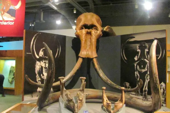 極地博物館及極地展示中心