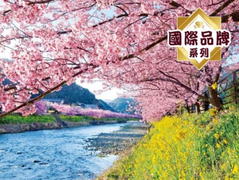 東京、伊豆 6天早春賞櫻溫泉之旅  東京近郊最早盛開的櫻花及梅花祭典~河津櫻花祭、熱海梅園祭、東京迪士尼樂園/海洋~全日任玩套票、東京德國村(冬季彩燈節illumination)