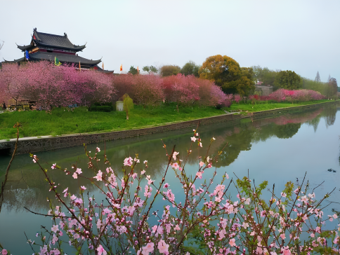 【5鑽】<全包登岸觀光>🌸春賞粉櫻🌸醉美花海🌸 長江三峽 武漢 賞櫻、重慶 賞櫻7天團 (船上入住5-6樓臻選江景露台房) 三峽大壩升船機、東湖磨山櫻花園、豐都鬼城、《烽煙三國》大型實景演出