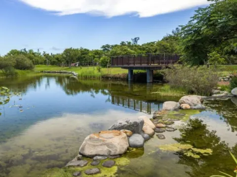 「台東黑森林」台東森林公園
