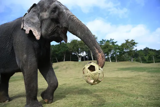 深圳野生動物世界