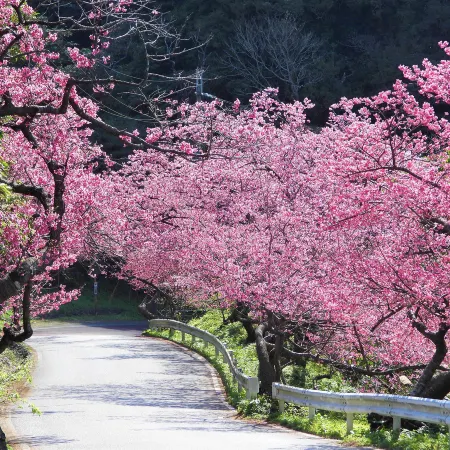 沖繩南、北部美景5天之旅   希臘風情小屋~瀨長島Umikaji Terrace、星野Resort Banta Cafe海景下午茶