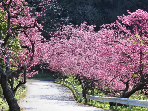 沖繩南、北部美景5天之旅   希臘風情小屋~瀨長島Umikaji Terrace、星野Resort Banta Cafe海景下午茶
