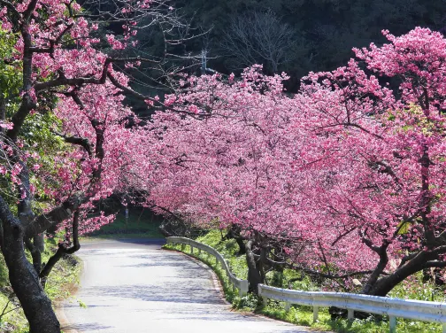 沖繩南、北部美景5天之旅   希臘風情小屋~瀨長島Umikaji Terrace、星野Resort Banta Cafe海景下午茶