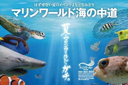 海之中道Marine World