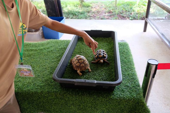 到訪文冬休閒農場