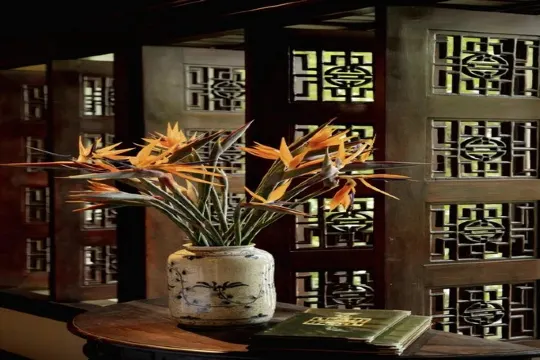 Mandarine 人氣越式料理