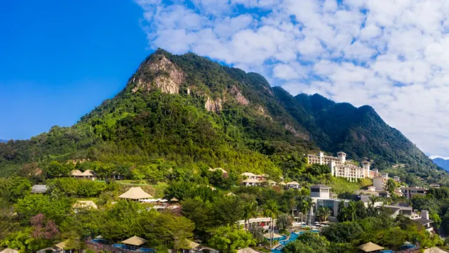 金葉子溫泉度假酒店