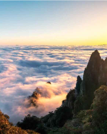 《四季如畫~莽山+高鐵往返》連續2晚保證入住莽山森林溫泉度假酒店+「諾亞方舟」懸崖溫泉 「莽山國家森林公園」 【莽山瑤族十八碗特色風味宴】莽山美景純玩3天團