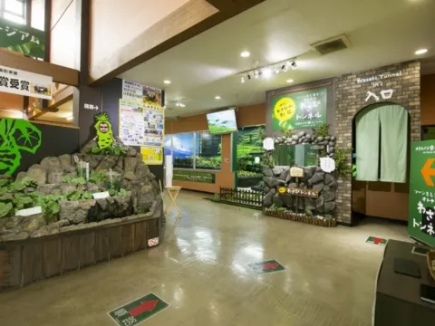 伊豆Wasabi博物館