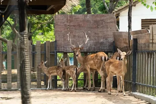 三水.松鼠部落.萌寵樂園