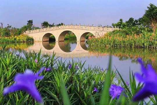 華陽湖濕 地公園