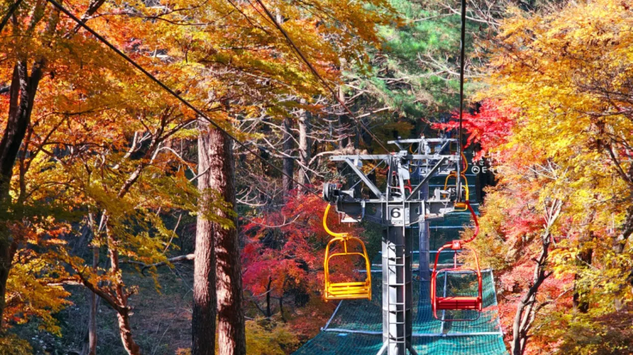 「無等山」芝山遊園地