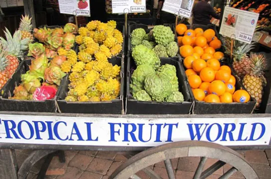 黃金海岸熱帶果園