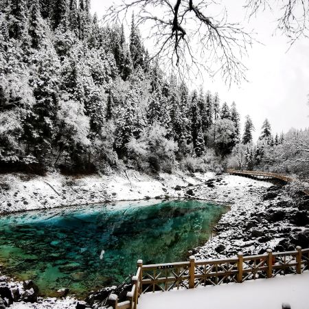 《九寨溝‧牟尼溝‧樂山》天府四川深度遊九寨溝(童話世界)、牟尼溝(鈣化疊瀑)、樂山大佛(遊船)、東方佛都、成都大熊貓繁育研究基地(觀賞國寶熊貓)、都江堰(千年水利工程)8天高鐵團