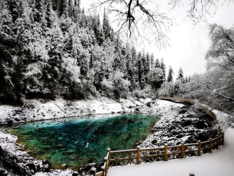 《九寨溝‧牟尼溝‧樂山》天府四川深度遊九寨溝(童話世界)、牟尼溝(鈣化疊瀑)、樂山大佛(遊船)、東方佛都、成都大熊貓繁育研究基地(觀賞國寶熊貓)、都江堰(千年水利工程)8天高鐵團