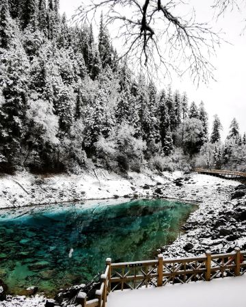 《九寨溝‧牟尼溝‧樂山》天府四川深度遊九寨溝(童話世界)、牟尼溝(鈣化疊瀑)、樂山大佛(遊船)、東方佛都、成都大熊貓繁育研究基地(觀賞國寶熊貓)、都江堰(千年水利工程)8天高鐵團