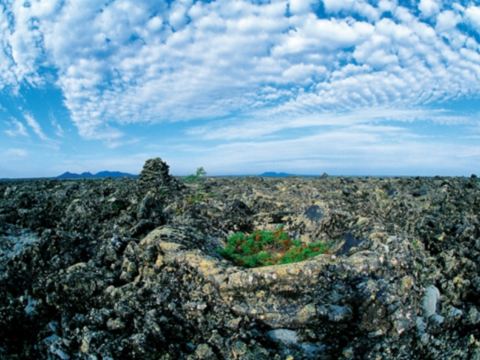 五大連池噴氣錐碟