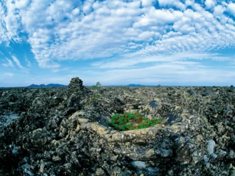 五大連池噴氣錐碟