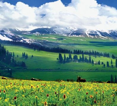 深度北疆─走進人間仙境，美不勝收~東方瑞士風光~喀納斯、探秘圖瓦人村落~禾木、大自然鬼斧神工~魔鬼城、那拉提草原、獨山子大峽谷、賽里木湖、烏魯木齊、布爾津、伊寧、富蘊12天自然風光純玩之旅