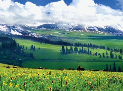 深度北疆─走進人間仙境，美不勝收~東方瑞士風光~喀納斯、探秘圖瓦人村落~禾木、大自然鬼斧神工~魔鬼城、那拉提草原、獨山子大峽谷、賽里木湖、烏魯木齊、布爾津、伊寧、富蘊12天自然風光純玩之旅