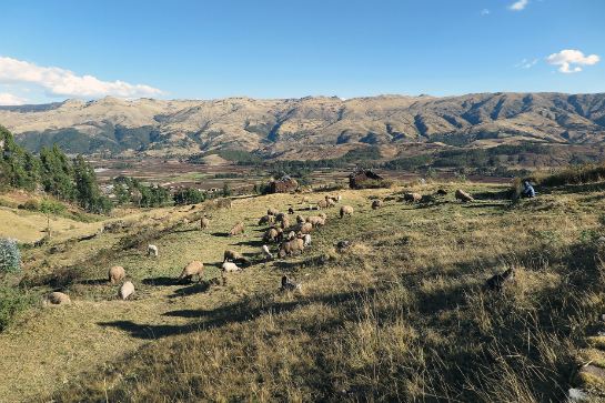 【聖谷】Sacred Valley(From Pixbay)