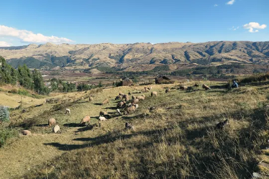 【聖谷】Sacred Valley(From Pixbay)