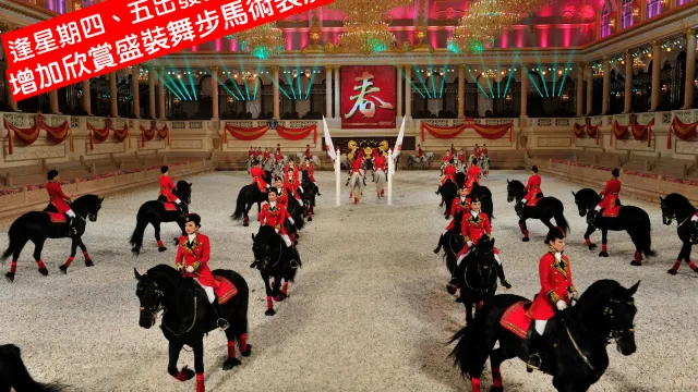 盛裝舞步馬術表演