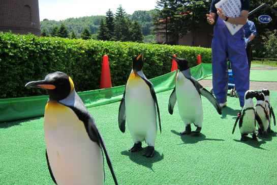 Marine Park 海洋城堡