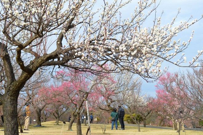 小田原FLOWER GARDEN