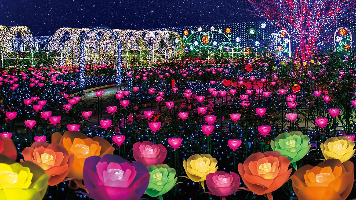 足利花卉公園光の花庭園