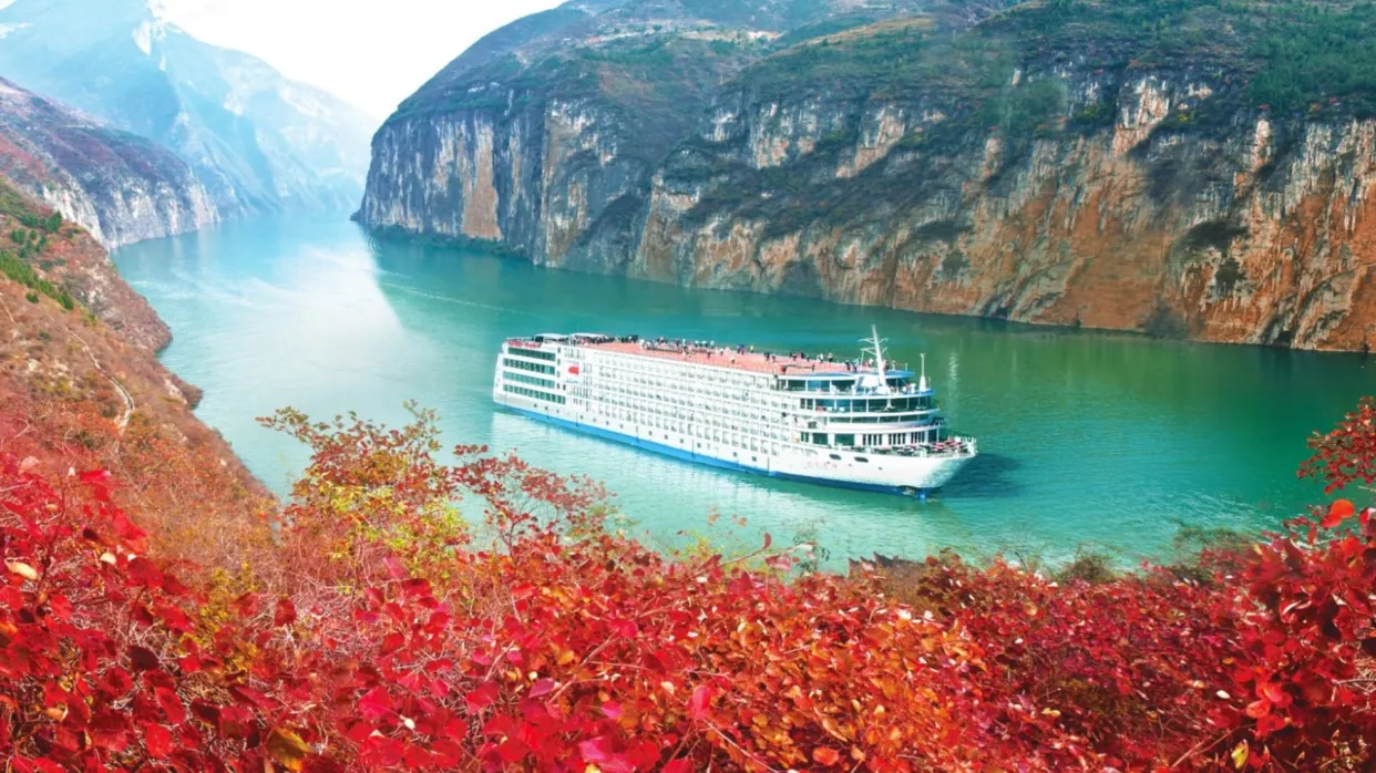 三峽紅葉