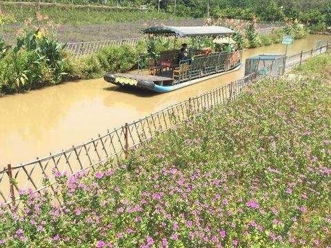 偉豐農場花卉世界