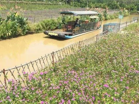 偉豐農場花卉世界