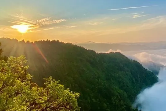 太平山森林遊樂區
