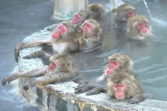 函館熱帶植物園
