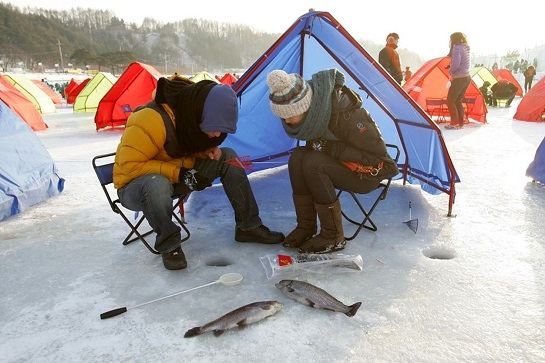 平昌珍富釣山鱒魚(2017年1月1日至16日出發適用)