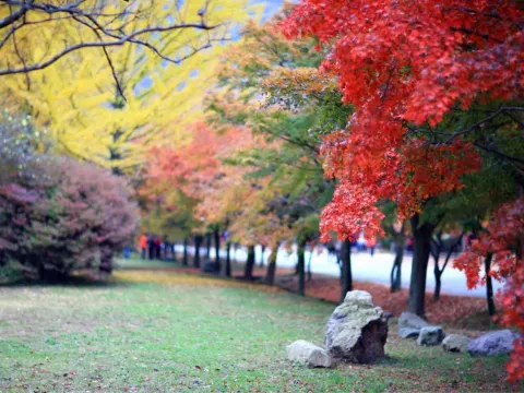 內藏山國立公園