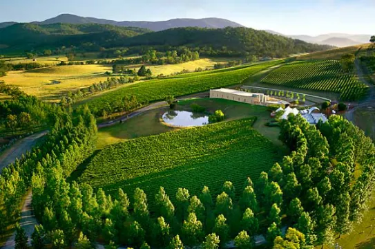 雅拉河谷酒莊