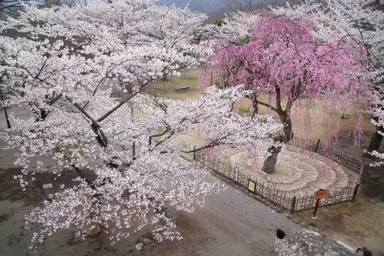 小諸城址懷古園