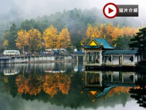 【5鑽】🍁江西賞秋、人間仙境6天純玩高鐵團🍁 世遺廬山秋色、賞楓勝地~婺源石城、篁嶺曬秋(獨家歡迎儀式客家攔門酒+永安曬秋活動)、鳳凰溝+東林寺銀杏、2大明星景區《全港獨家：婺女洲+葛仙村》