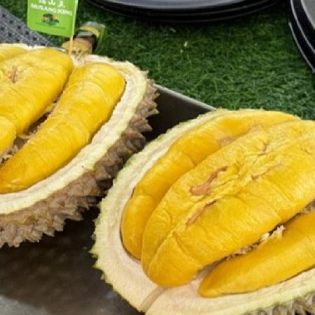 《季節限定 榴槤任食》吉隆坡+吉膽島 度假美食 榴槤任食5天團 【不設自費加遊】狄臣港 Lexis Hibiscus Port Dickson大紅花豪華海上度假村+3晚吉隆坡國際品牌五星級酒店