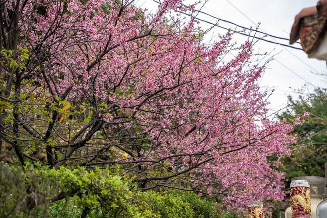 桃園壽山巖觀音寺
