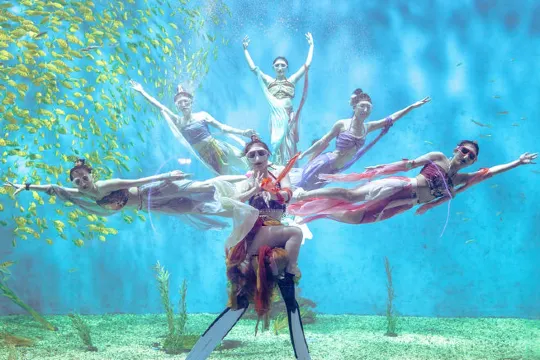 中魚視界海洋王國