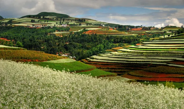 東川紅土地_樂譜凹