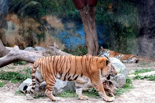 新竹市立動物園