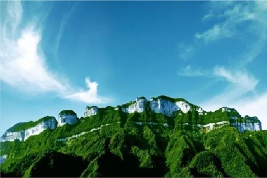 金佛山國家森林公園